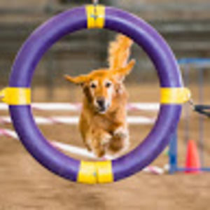 Meet your Posher, Annique